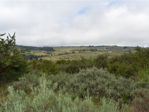4644 m² Land available in Dullstroom