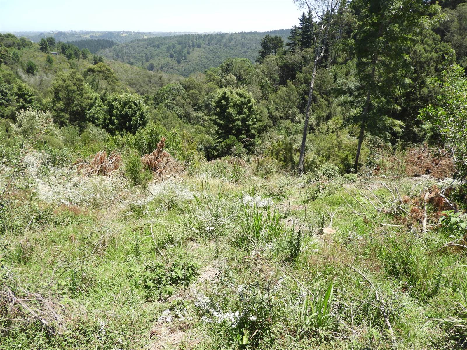 3 ha Land available in Hoekwil photo number 12