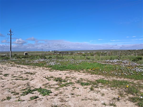 294 m² Land