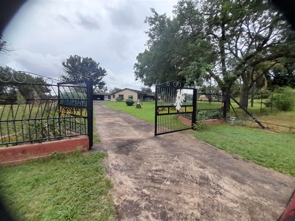2.6 ha Smallholding