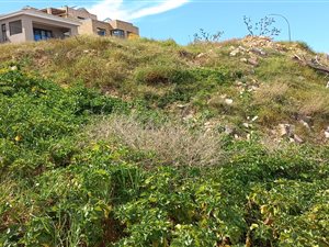 Vacant Land in Dana Bay