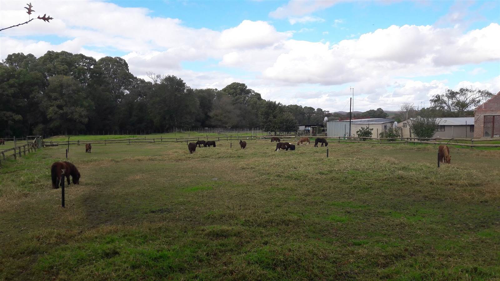 1 ha Farm in Riversdale photo number 11