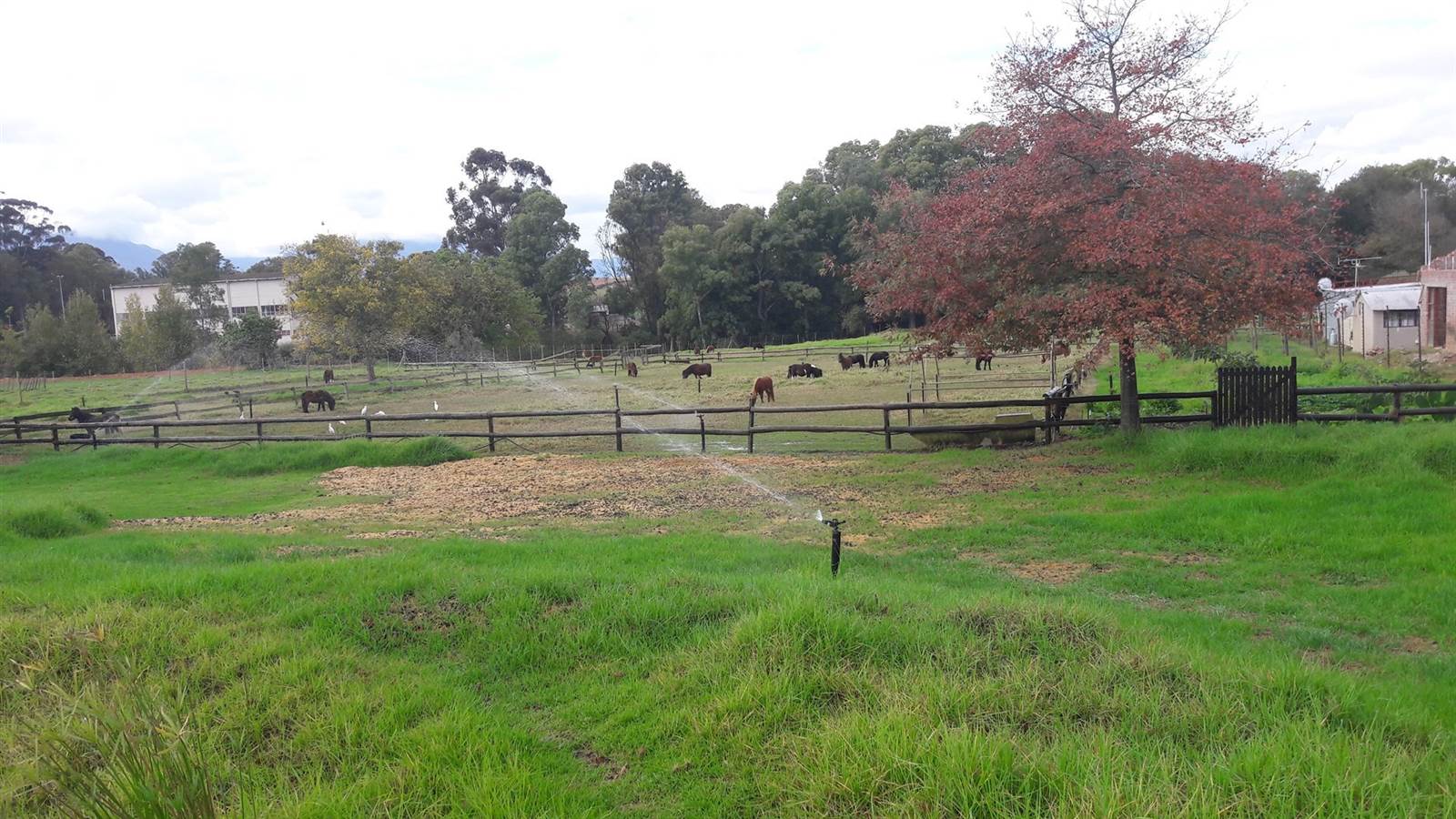 1 ha Farm in Riversdale photo number 2