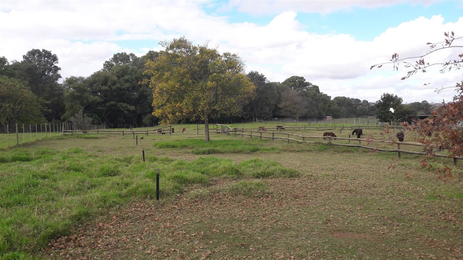 1 ha Farm in Riversdale photo number 12