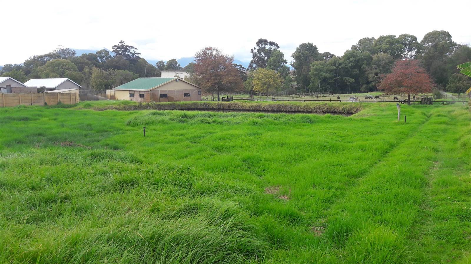 1 ha Farm in Riversdale photo number 1