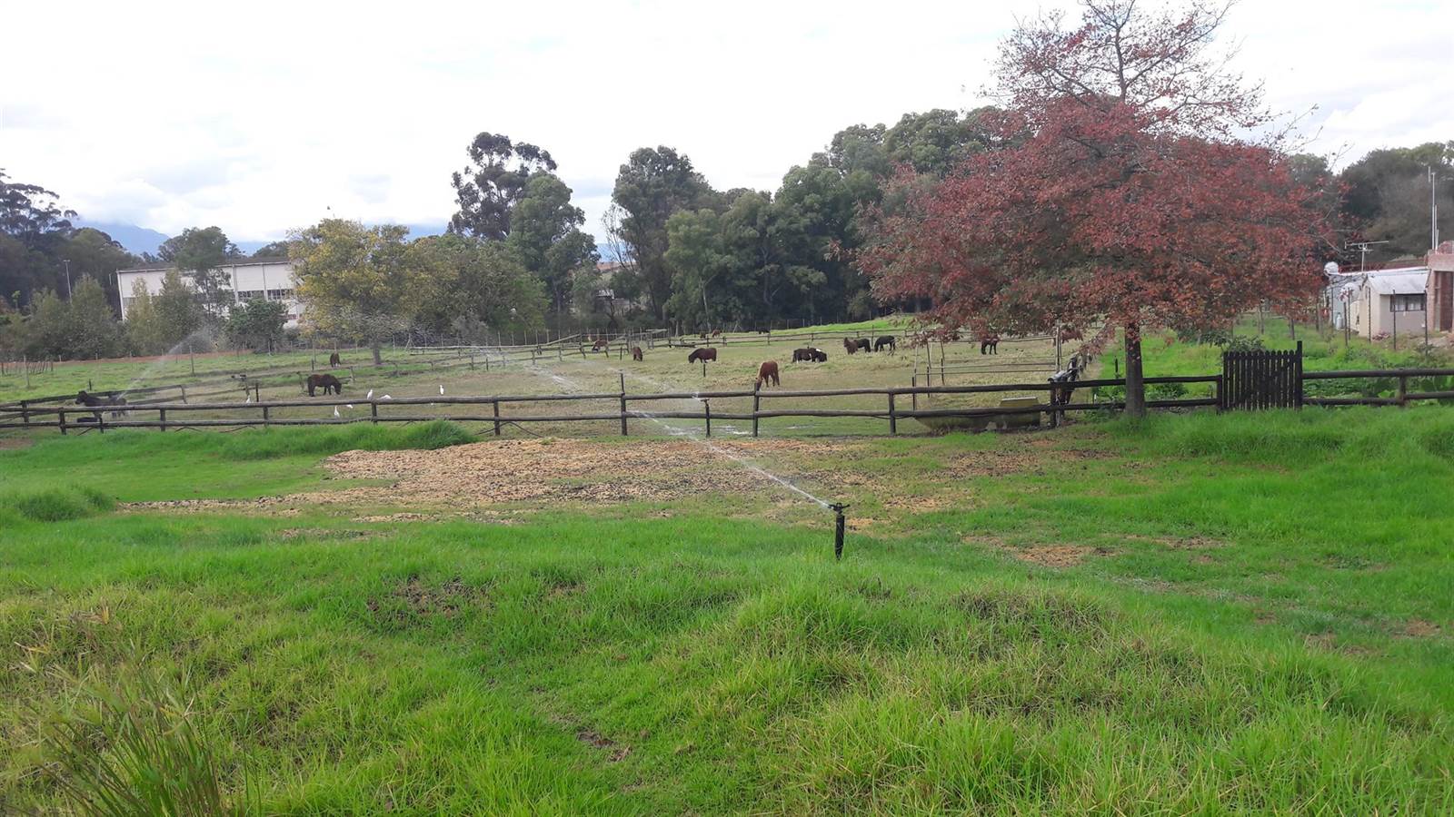 1 ha Farm in Riversdale photo number 8