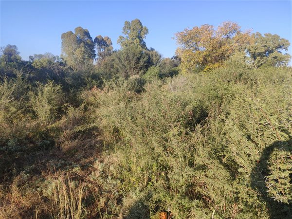 958 m² Land 958 m² Land