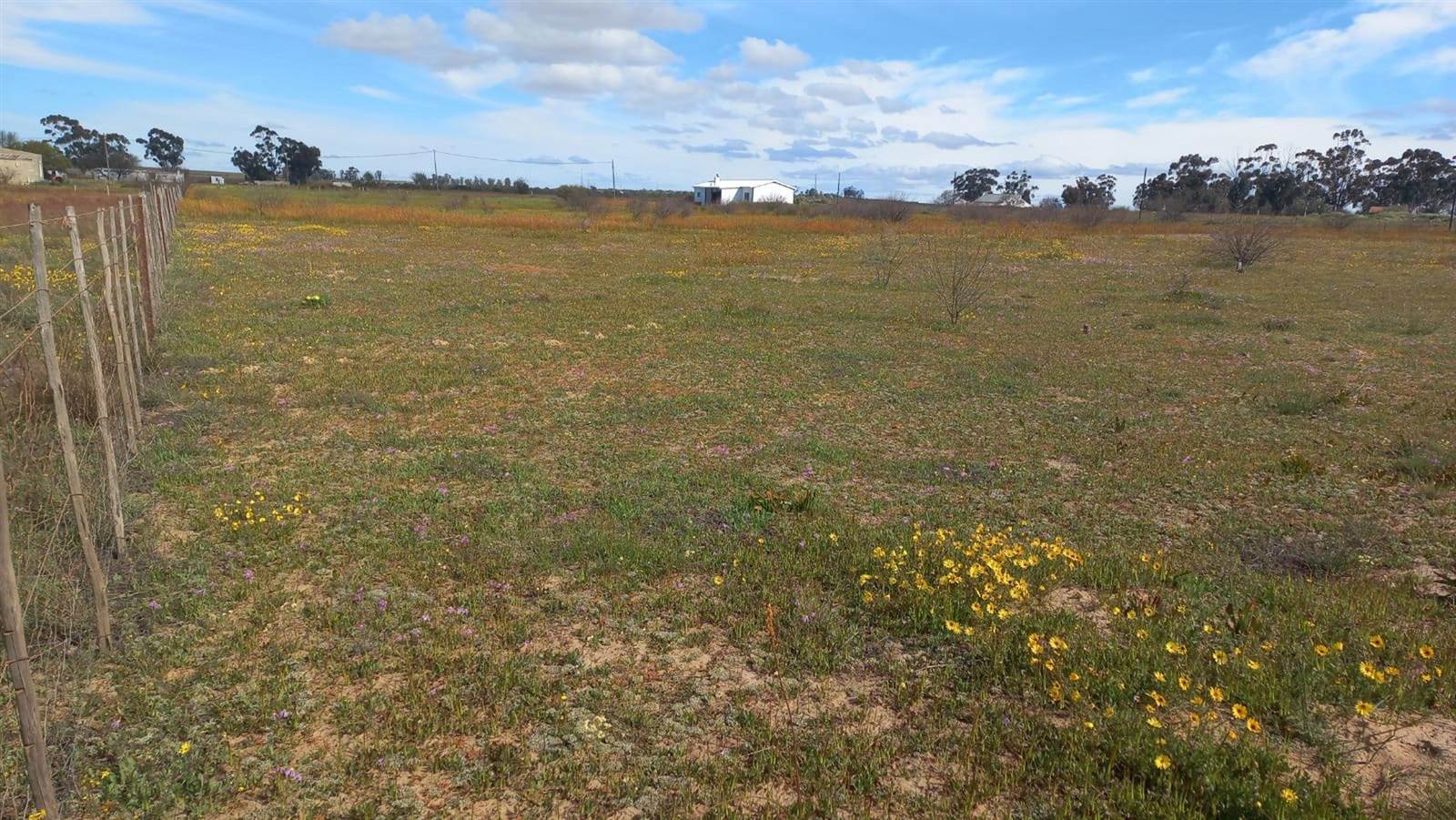 4461 m² Land available in Nieuwoudtville photo number 3