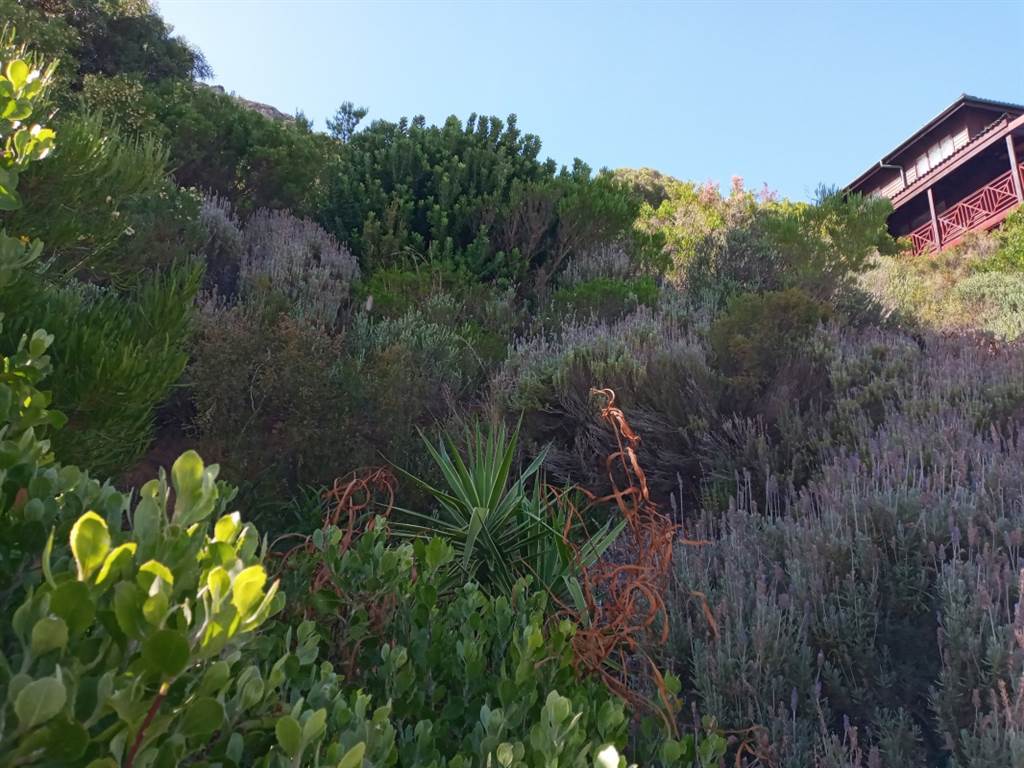 744 m² Land available in Mountainside photo number 2