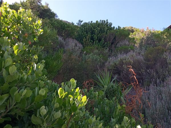 744 m² Land available in Mountainside