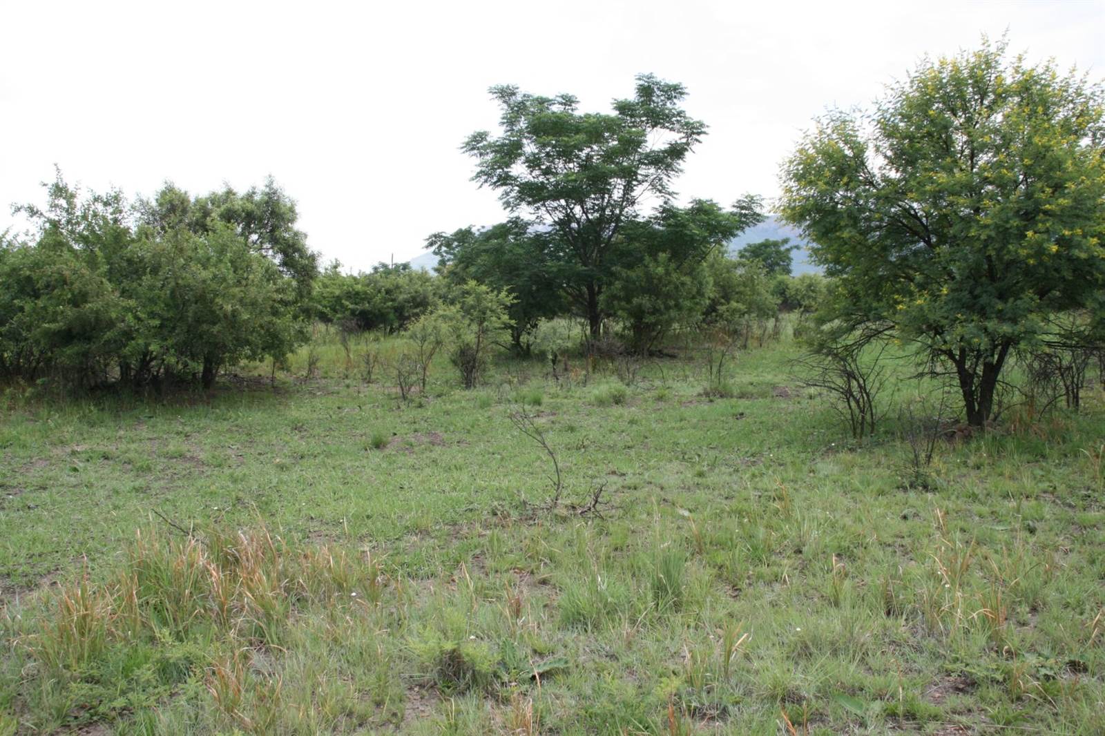 1275 m² Land available in Hartbeespoort Dam photo number 6