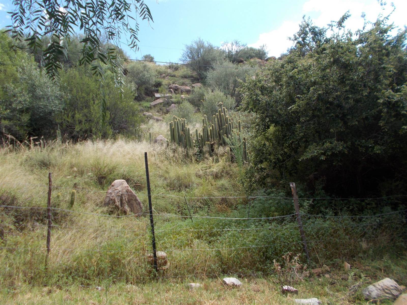2177 m² Land available in Bethulie photo number 9