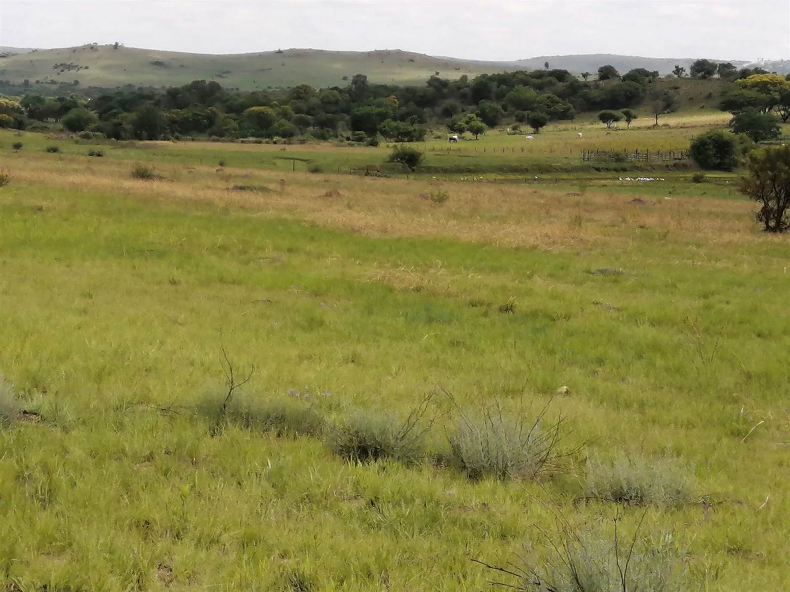 3.7 ha Land available in Mnandi AH photo number 1