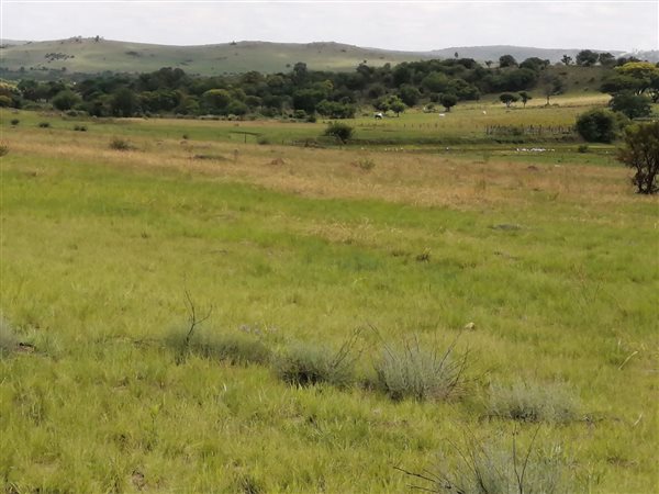 3.7 ha Land available in Mnandi AH