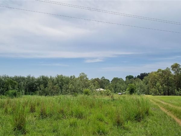 3.5 ha Smallholding 3.5 ha Smallholding