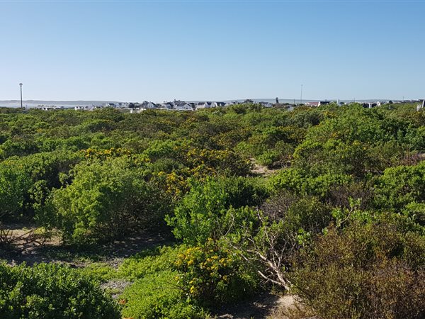 523 m² Land available in Paternoster