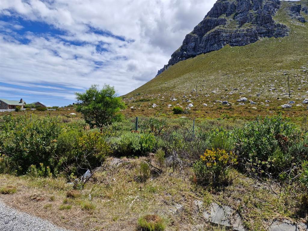 22.2 ha Land available in Bettys Bay photo number 9