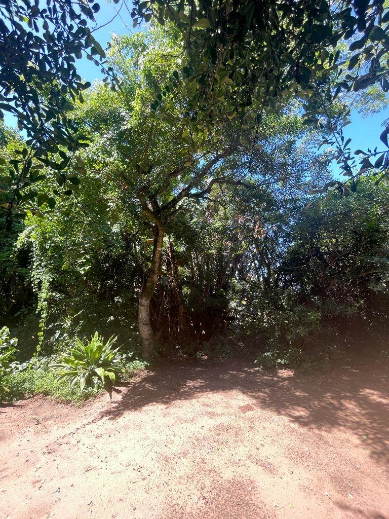 5644 m² Land available in Tugela Mouth photo number 26