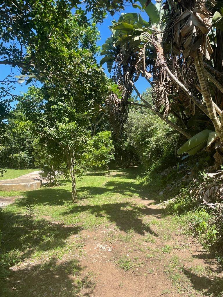 5644 m² Land available in Tugela Mouth photo number 11