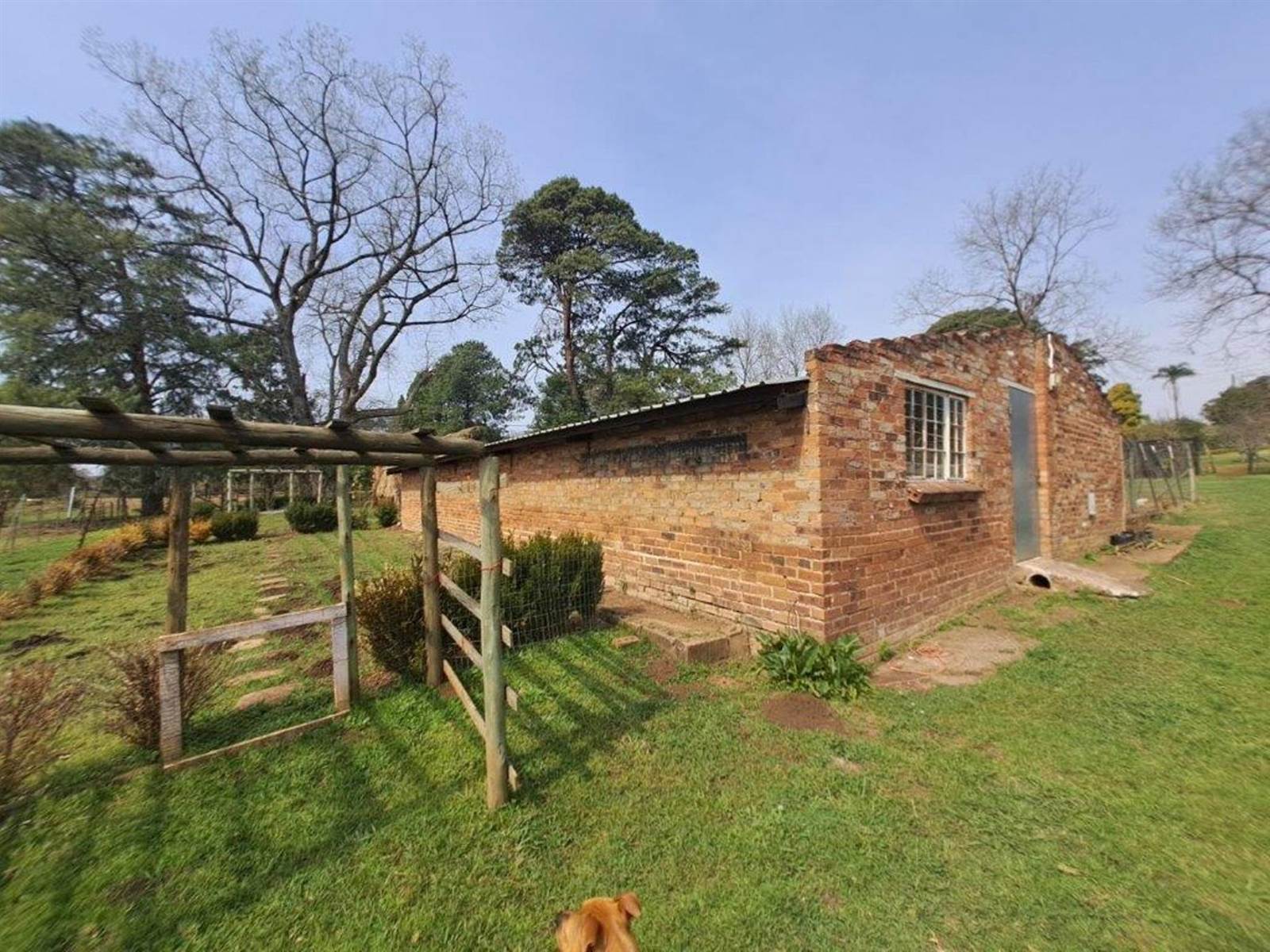 2.4 ha Smallholding in Howick photo number 27