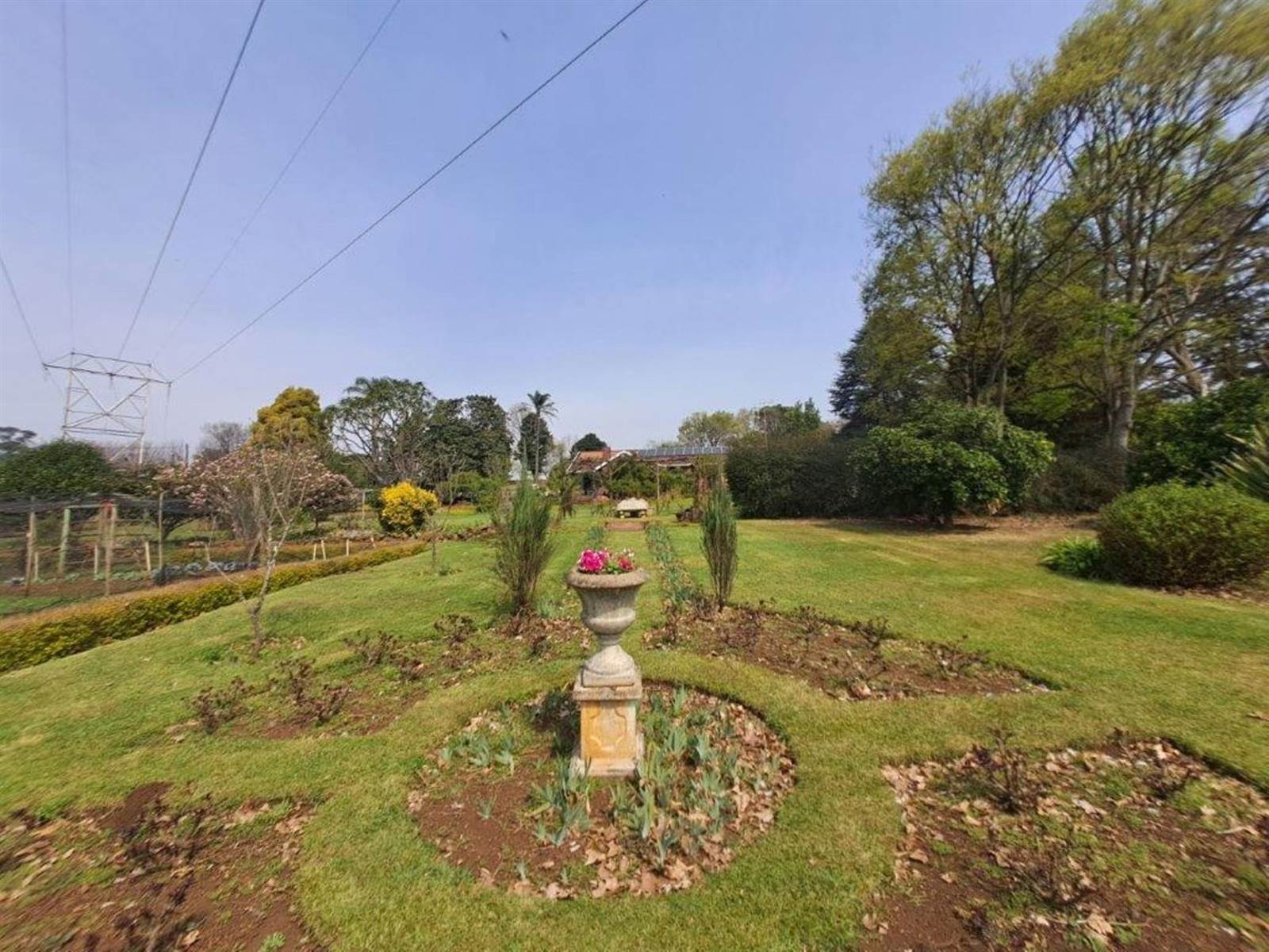 2.4 ha Smallholding in Howick photo number 12