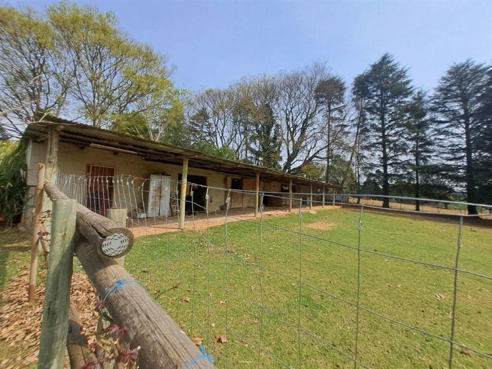 2.4 ha Smallholding in Howick photo number 23
