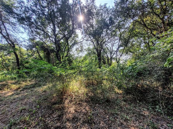3 865 m² Land 3 865 m² Land