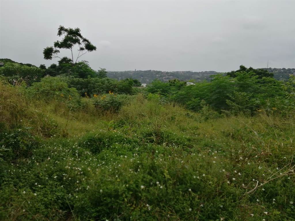 925 m² Land available in Greenwood Park photo number 6