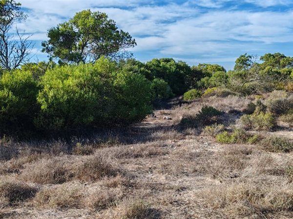 454 m² Land available in Shelley Point
