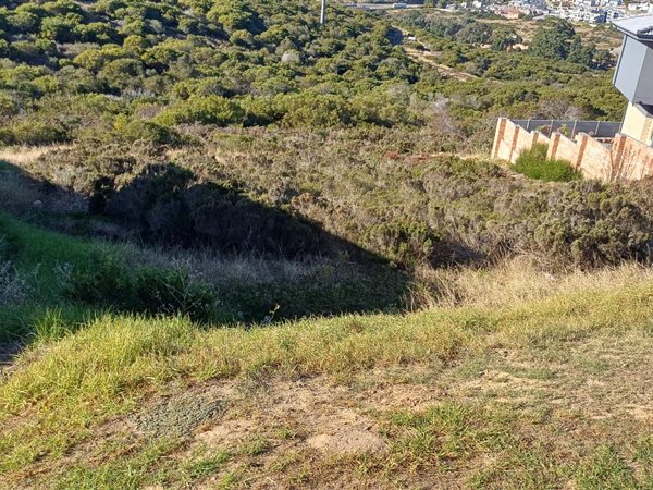 730 m² Land 730 m² Land