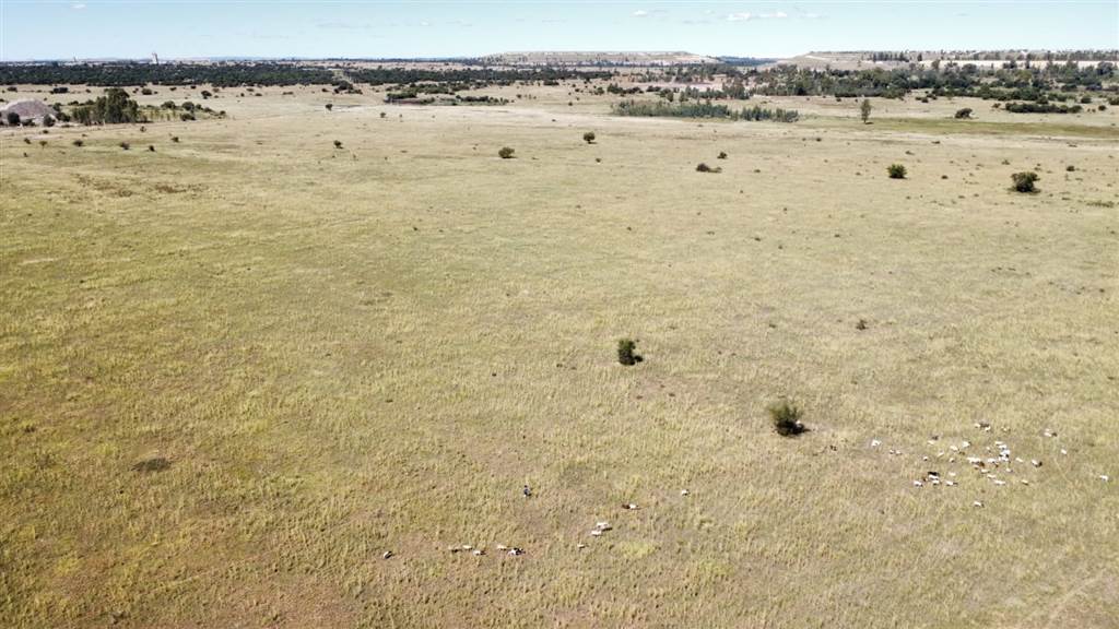 35.6 ha Land available in Ellaton photo number 3