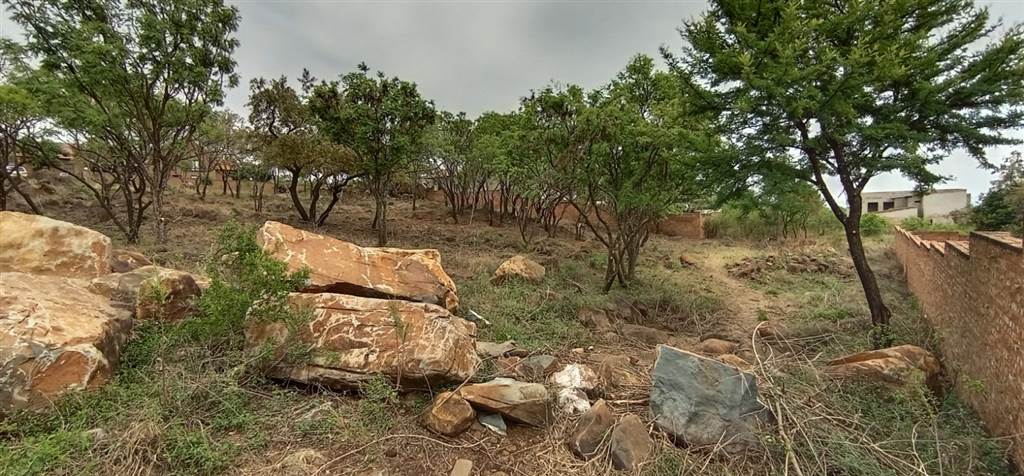 5000 m² Land available in Tygerberg Country Estate photo number 11