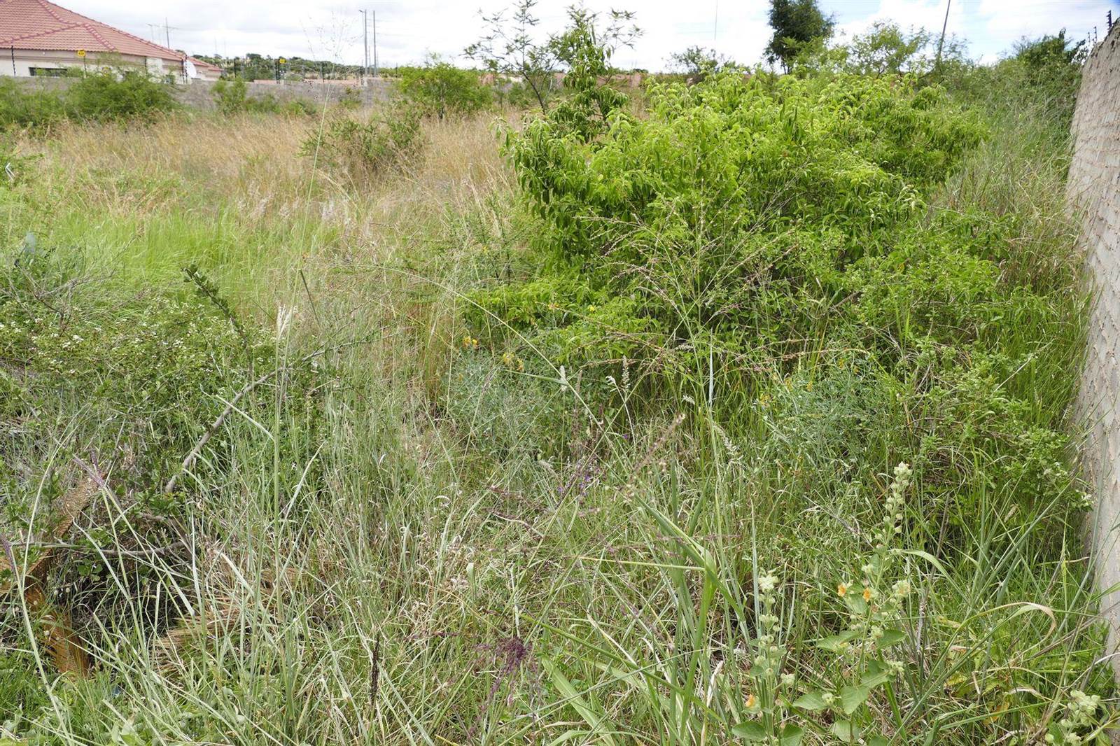 1334 m² Land available in Flora Park photo number 4