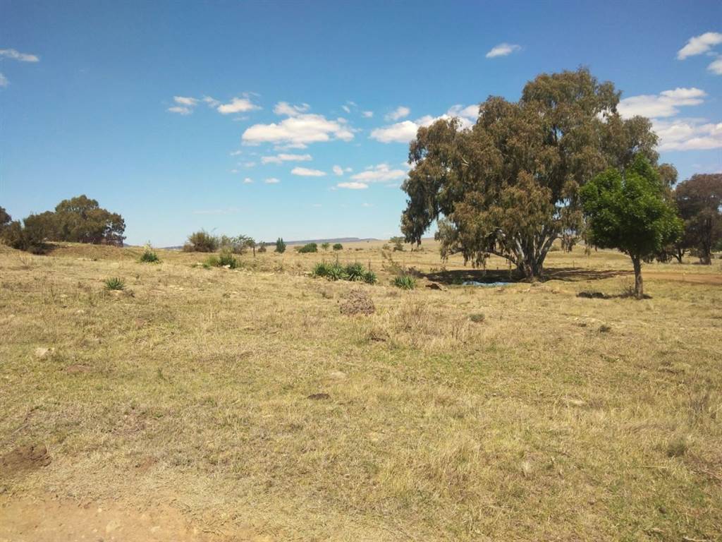 1280 m² Land available in Marquard photo number 5