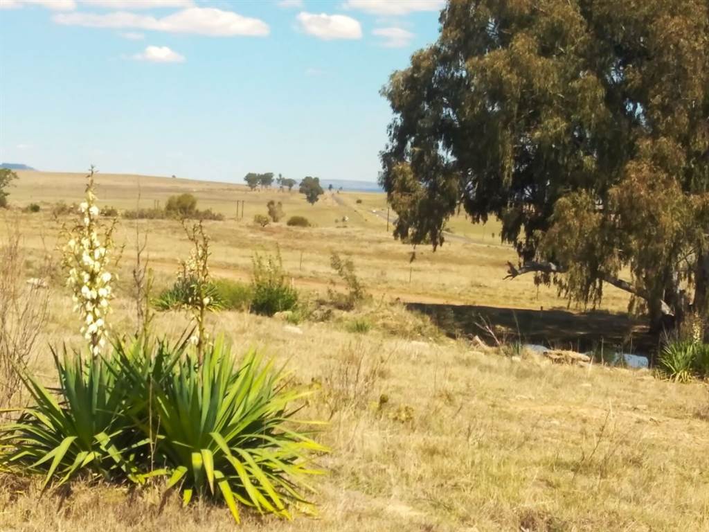 1280 m² Land available in Marquard photo number 6