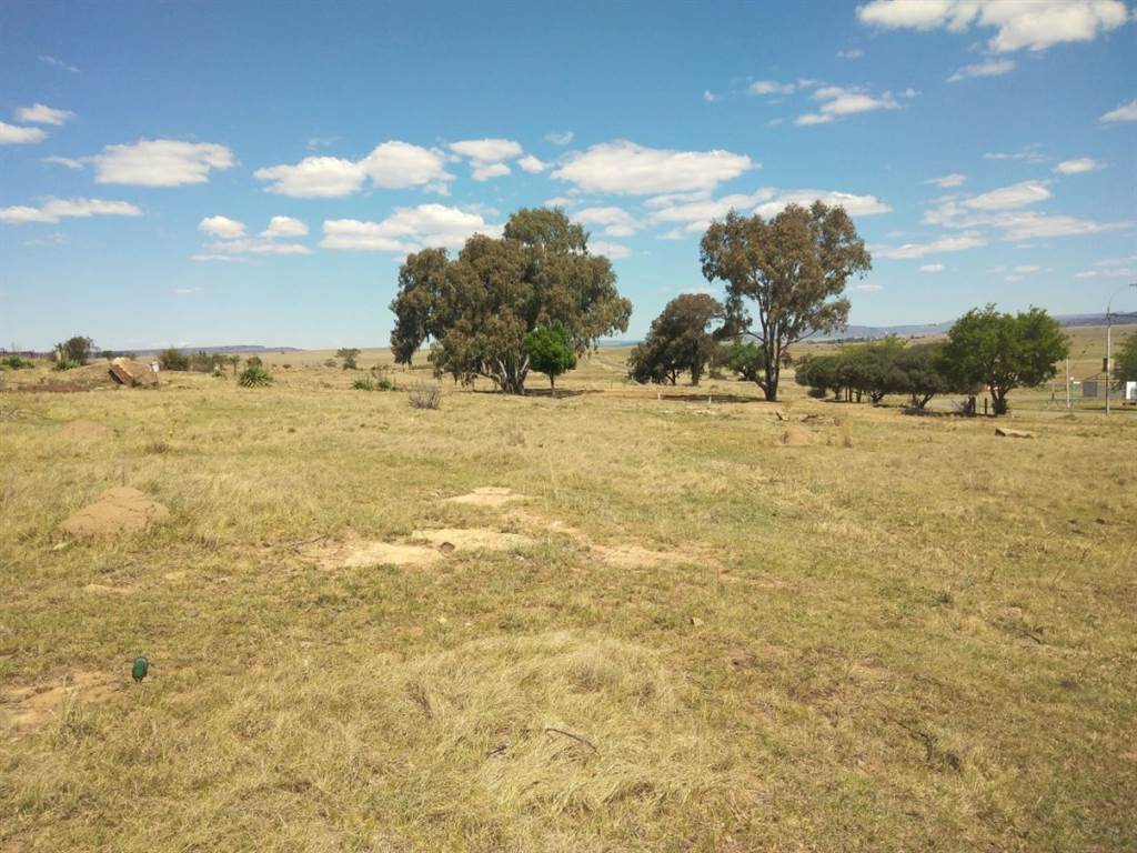 1280 m² Land available in Marquard photo number 4