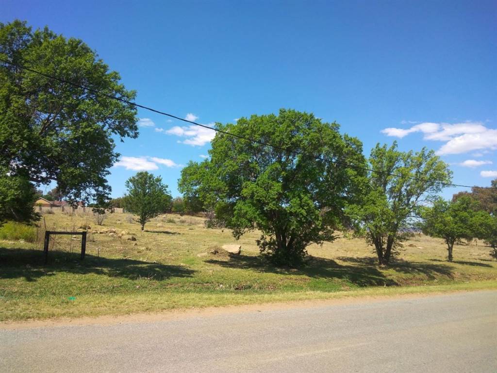 1280 m² Land available in Marquard photo number 1