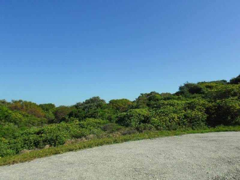 1213 m² Land available in Boknesstrand photo number 10