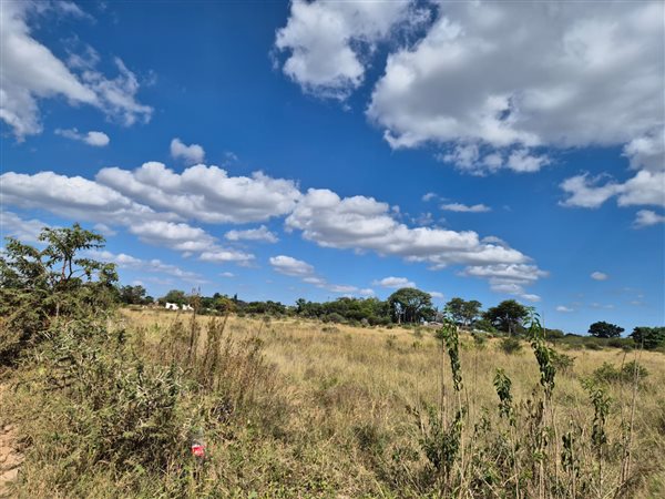 1 ha Smallholding 1 ha Smallholding