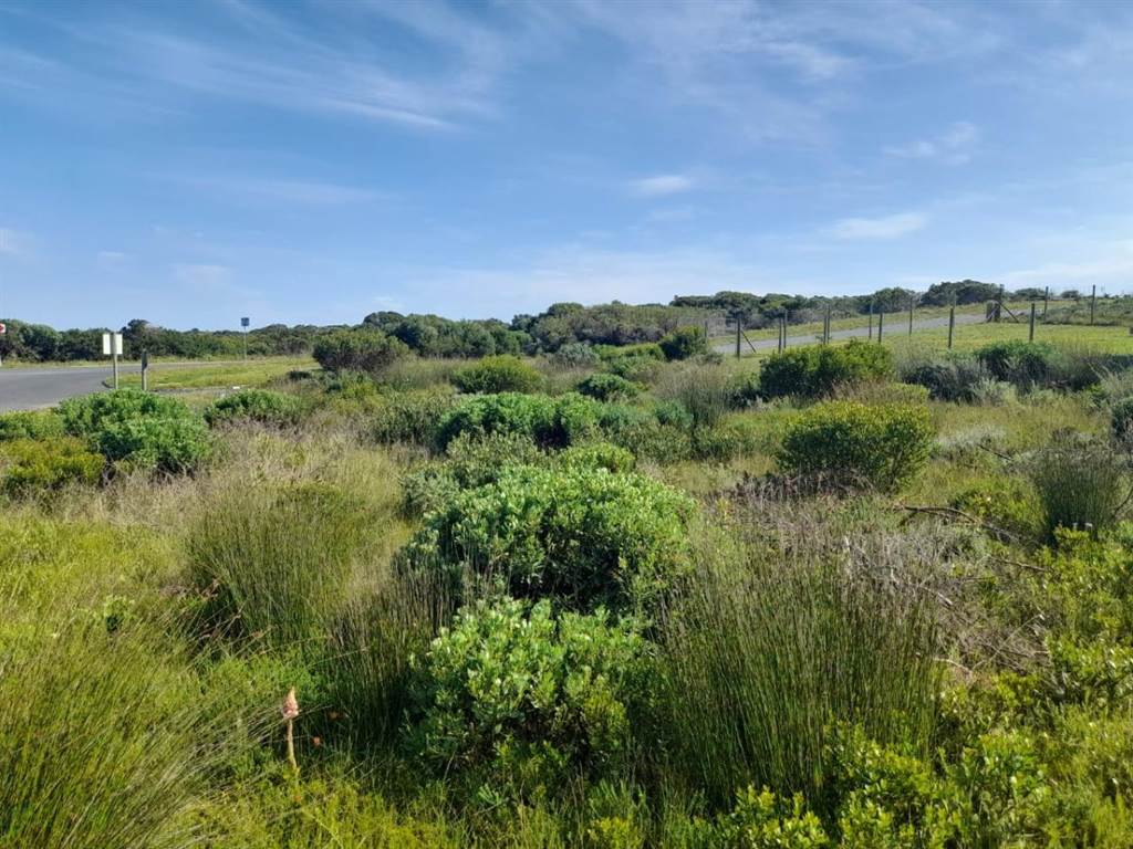 715 m² Land available in Franskraal photo number 1