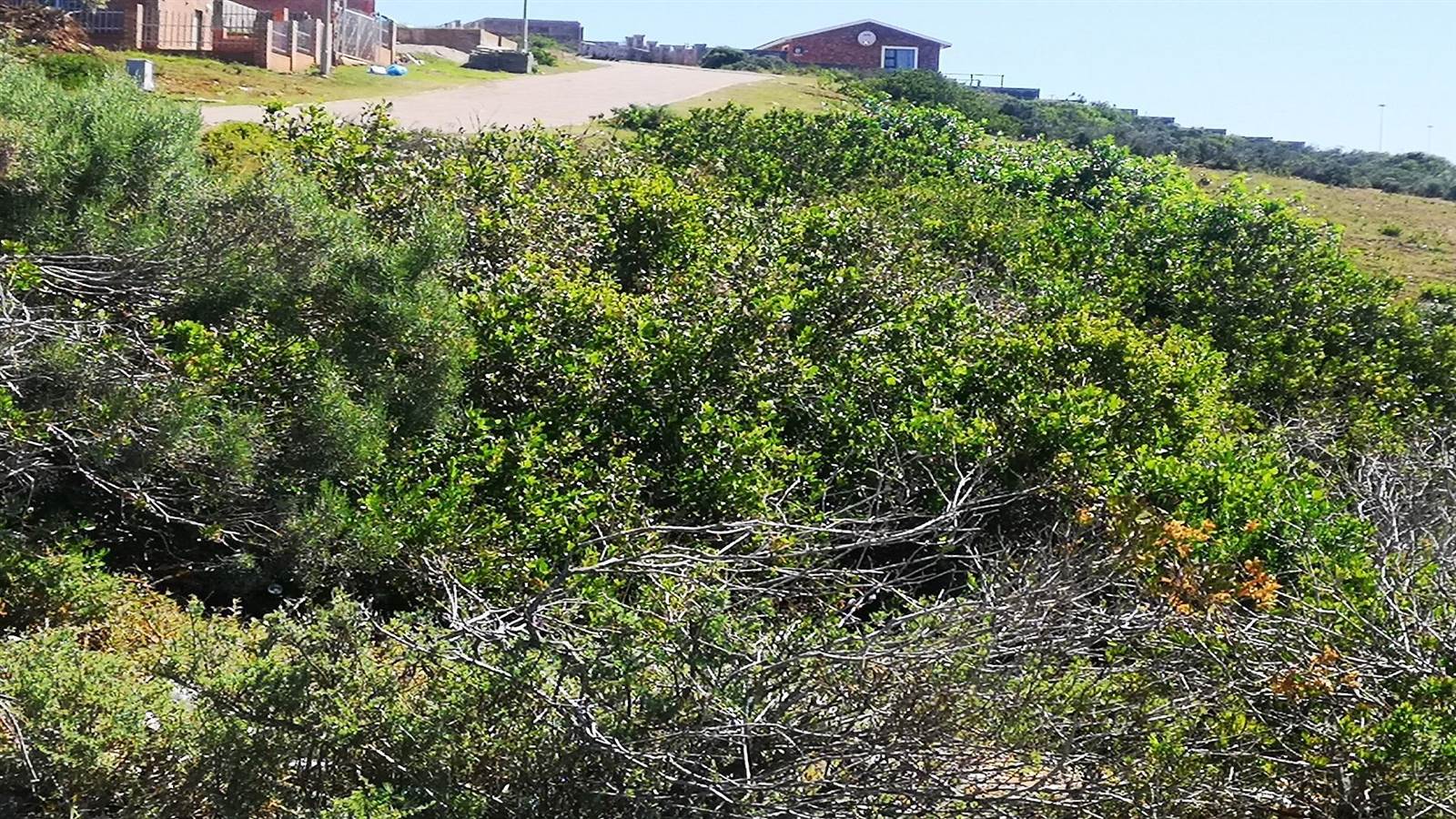 525 m² Land available in Mossel Bay Ext 26 photo number 3
