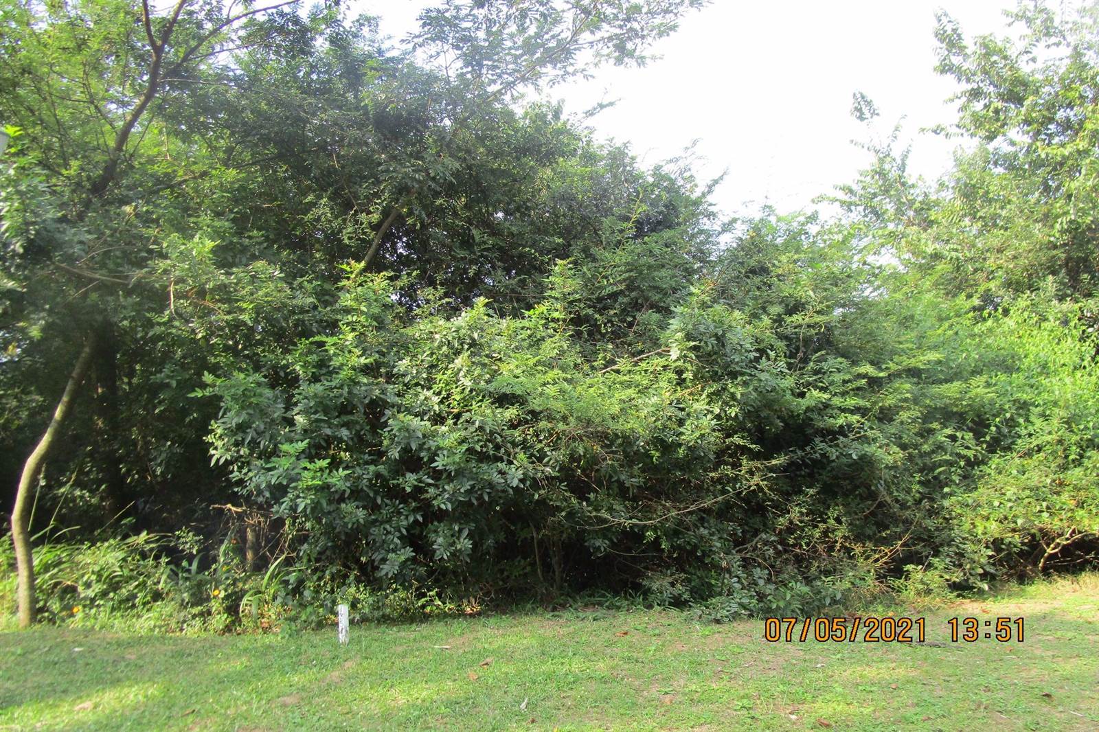 620 m² Land available in Pennington photo number 7