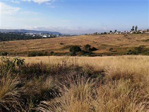 53 ha Land available in Hammarsdale