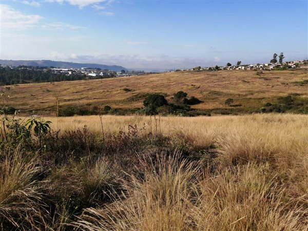 53 ha Land available in Hammarsdale