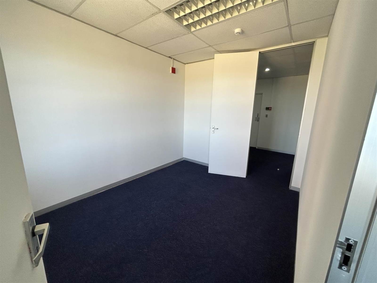1090.73  m² Office Space in Claremont photo number 10