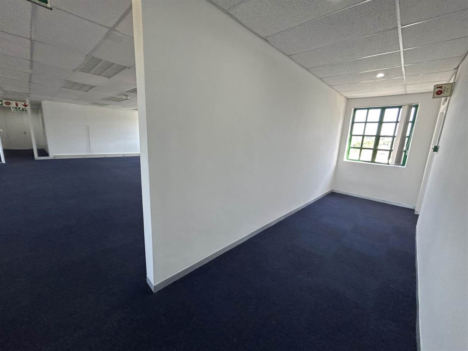 1090.73  m² Office Space in Claremont photo number 6