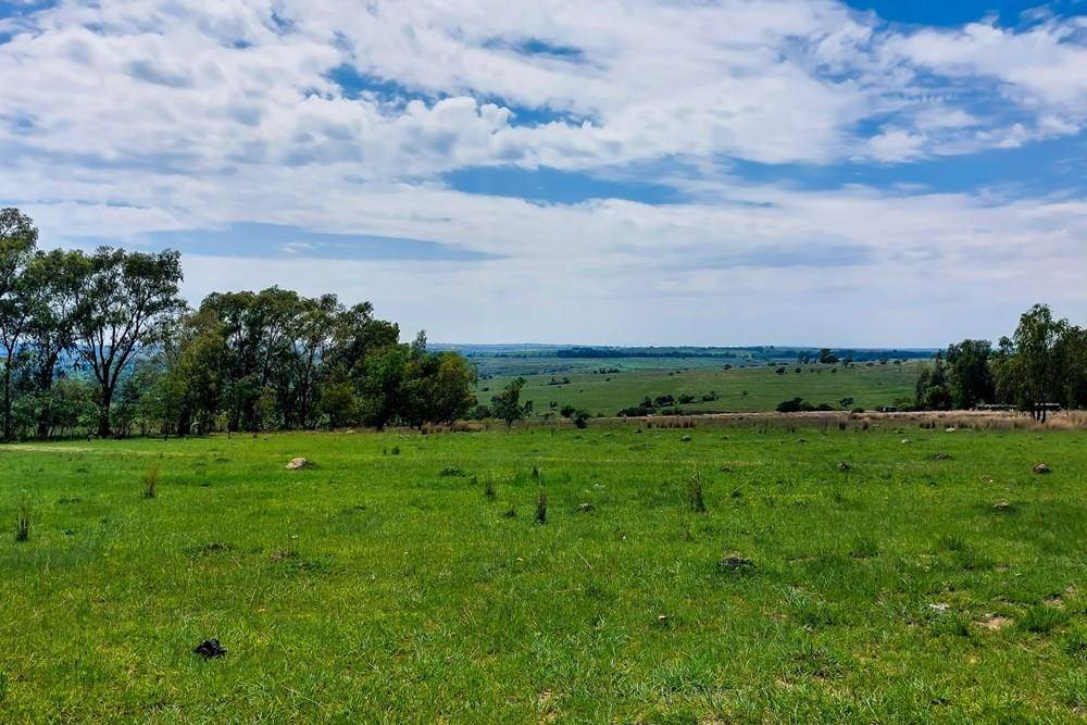 25.9 ha Land available in Lanseria and surrounds photo number 9
