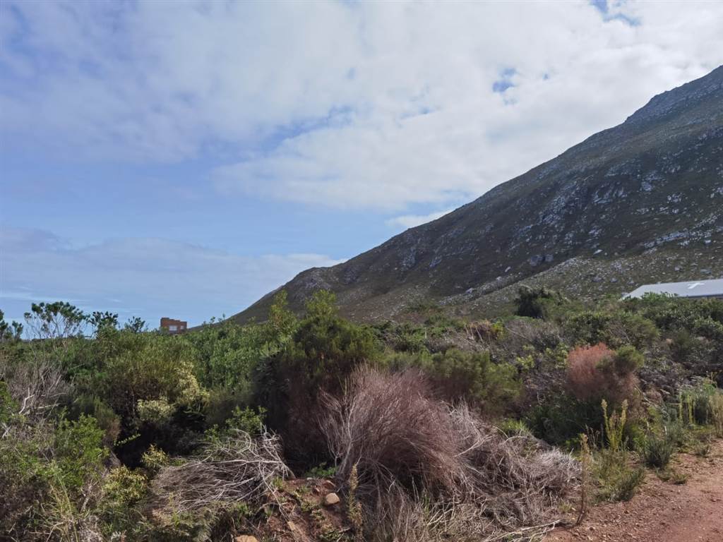 7731 m² Land available in Bettys Bay photo number 10