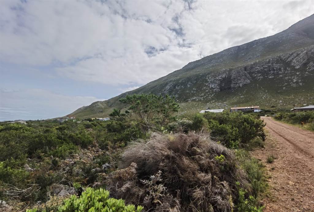 7731 m² Land available in Bettys Bay photo number 3
