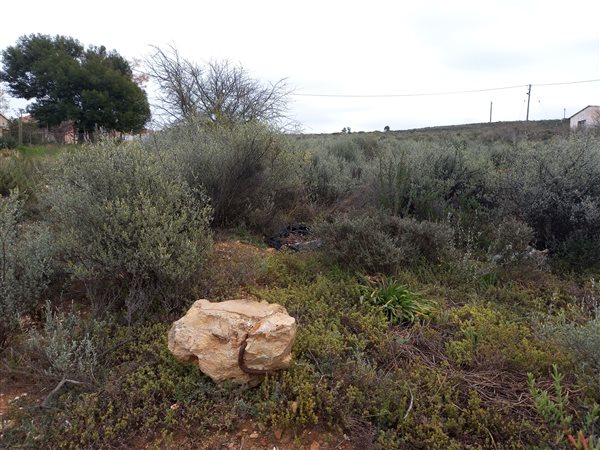 2 141 m² Land 2 141 m² Land